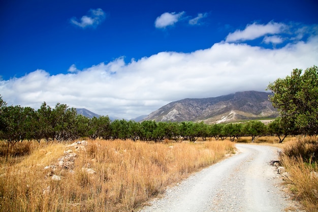 Paisaje rural de Grecia