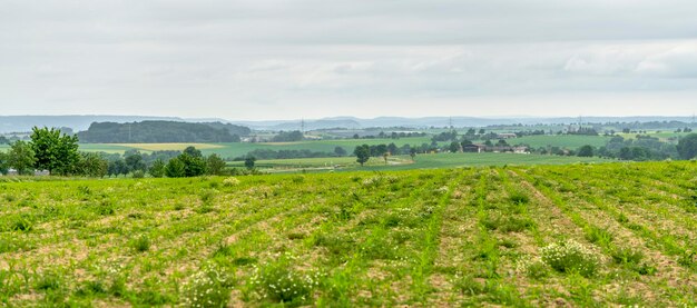 paisaje rural en Hohenlohe