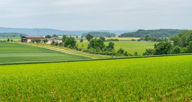 paisaje rural en Hohenlohe