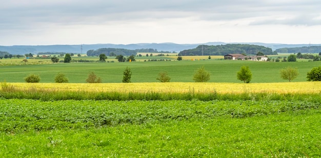 paisaje rural en Hohenlohe