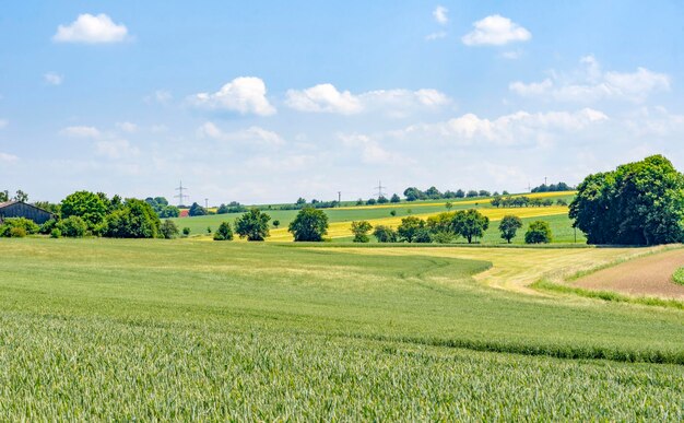 paisaje rural en Hohenlohe