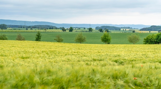 paisaje rural en Hohenlohe