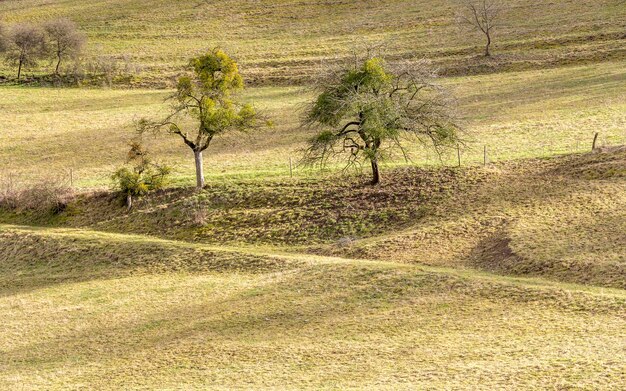 paisaje rural en Hohenlohe