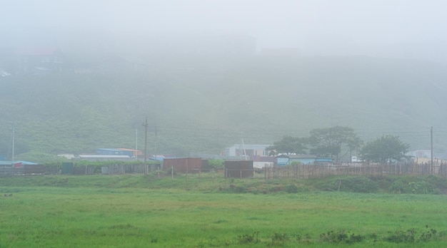 Paisaje rural con huertas y graneros en una espesa niebla