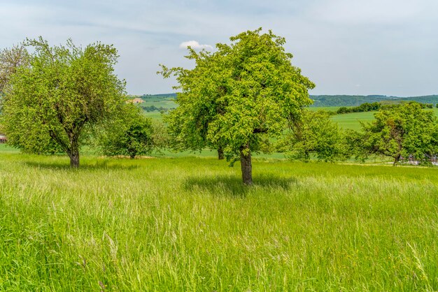 Un paisaje rural idílico