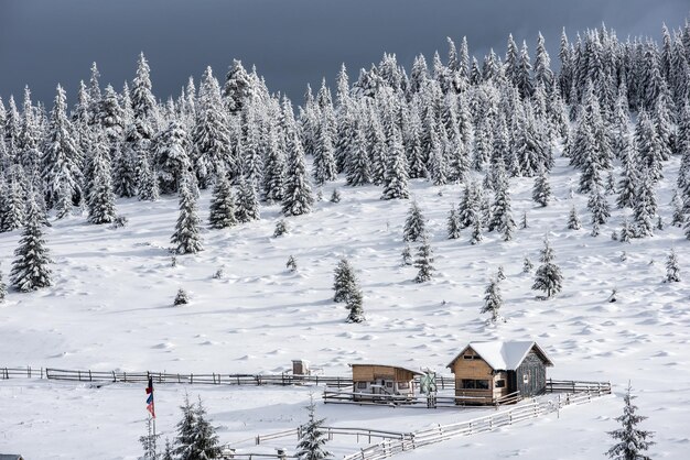 Foto paisaje rural de invierno