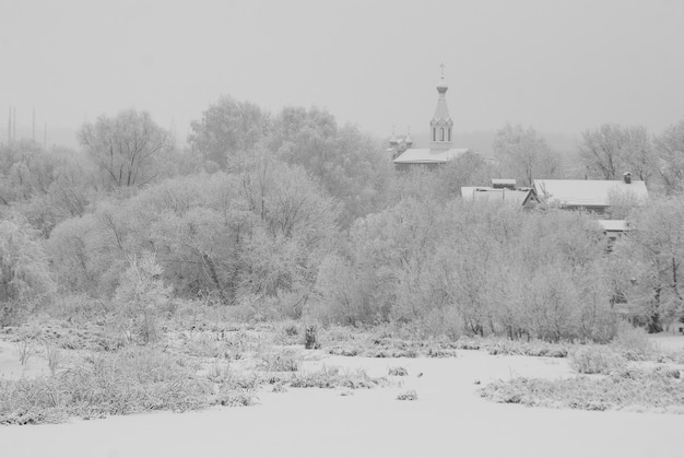 Foto paisaje rural nevado de invierno día helado y árboles cubiertos de nieve