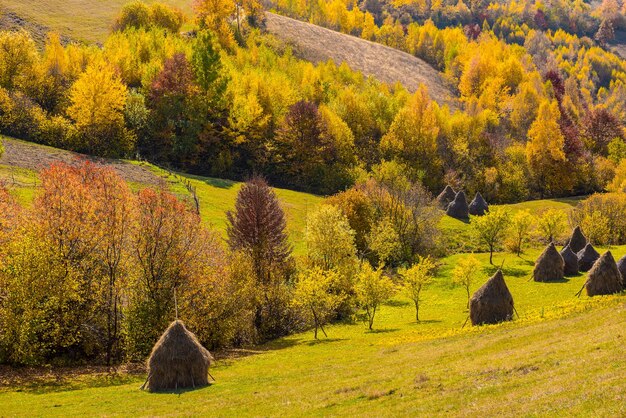 Paisaje rural de otoño