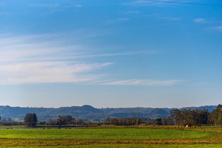 Paisaje rural en las pampas de Rio Grande do Sul