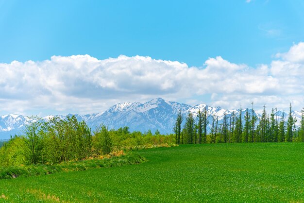 Paisaje rural panorámico con montañas inmenso cielo azul y nubes blancas sobre el campo agrícola