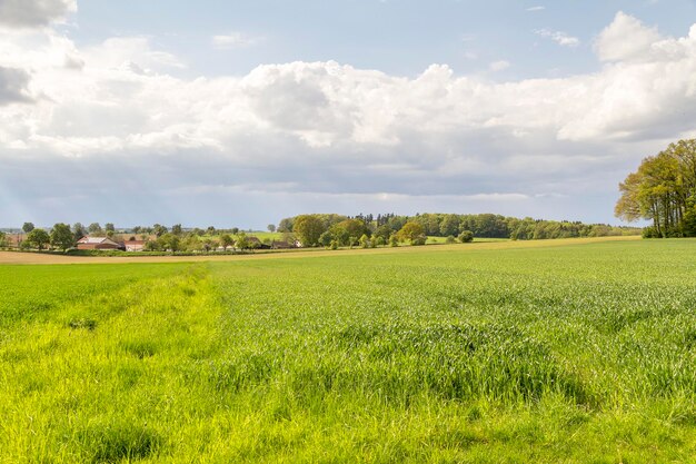 paisaje rural de primavera