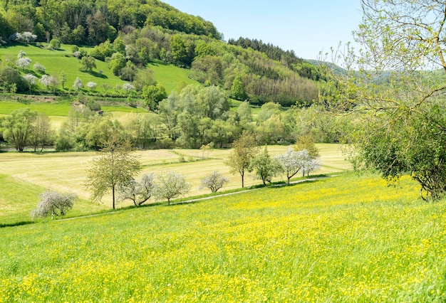 paisaje rural de primavera