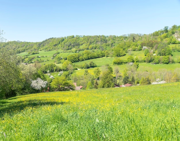 paisaje rural de primavera