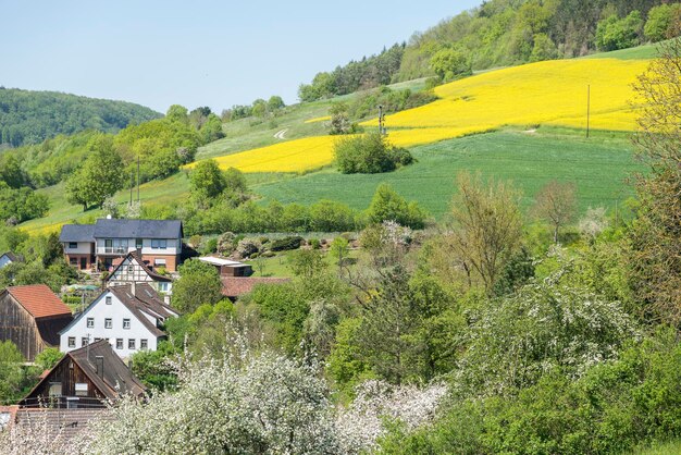 paisaje rural de primavera