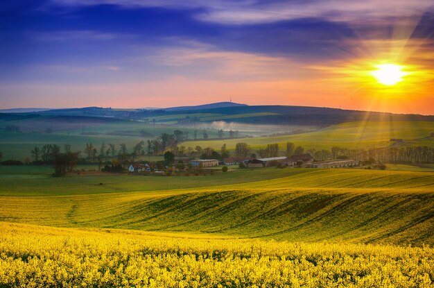 Paisaje rural de primavera