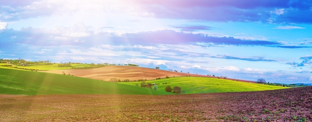 Paisaje rural de primavera