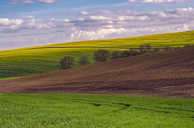 Paisaje rural de primavera