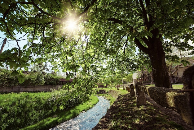 Paisaje rural primaveral con río y árboles verdes El sol brilla a través de las ramas Miskolc Hungría