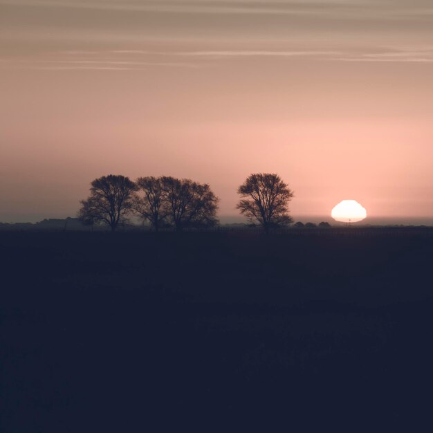 Paisaje rural de puesta de sol en la provincia de Buenos Aires, Argentina