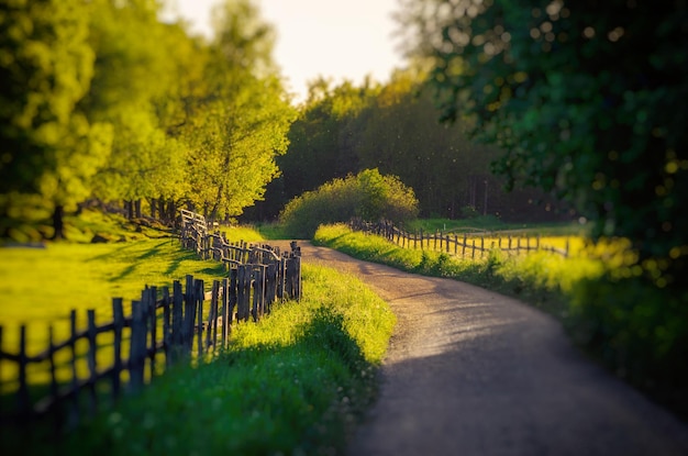 Paisaje rural de Suecia