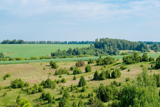 Paisaje rural de Tatarstán Verdes colinas con árboles y prados vista superior