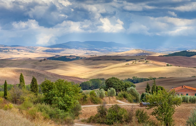 Paisaje rural de la Toscana, Italia. Los campos, colinas y bosques. Agricultura