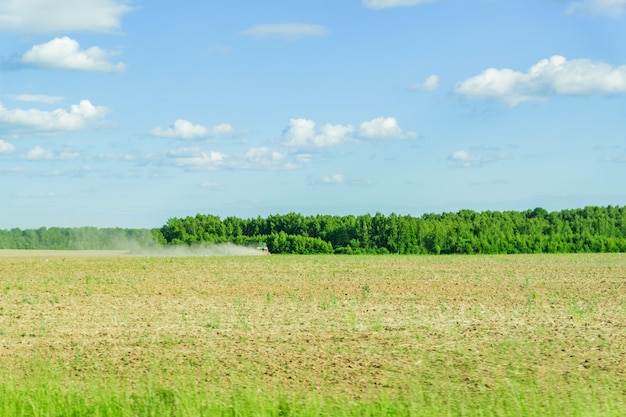 Paisaje rural en verano