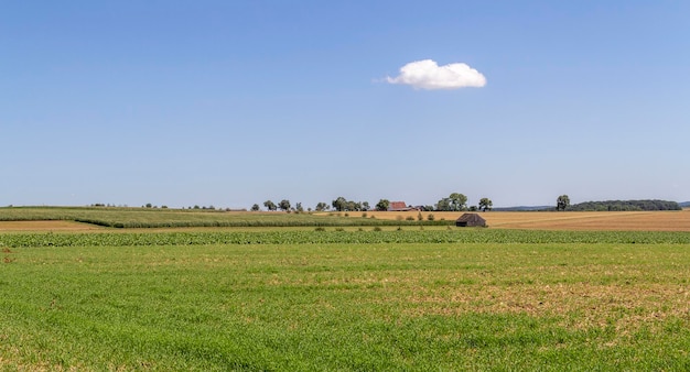 paisaje rural