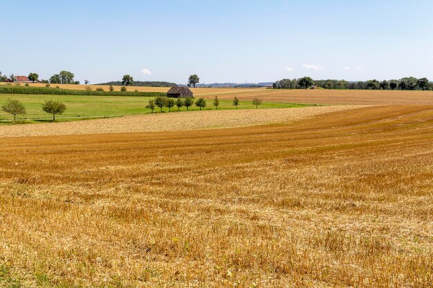 paisaje rural