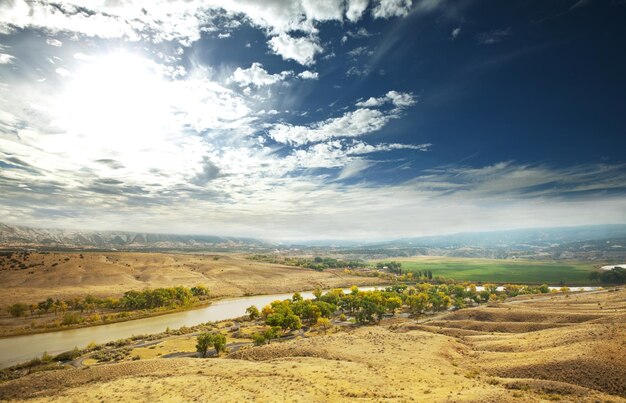 Paisaje rural