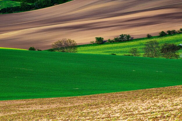 Foto paisaje rural