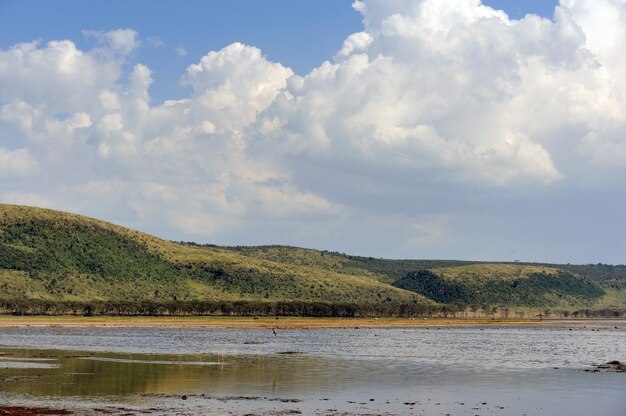 Paisaje de sabana en el parque nacional de Kenia, África