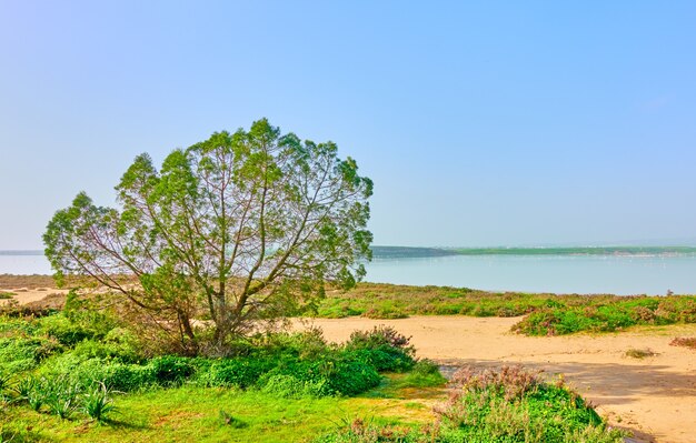 Paisaje con Salt Lake en Larnaka, Chipre