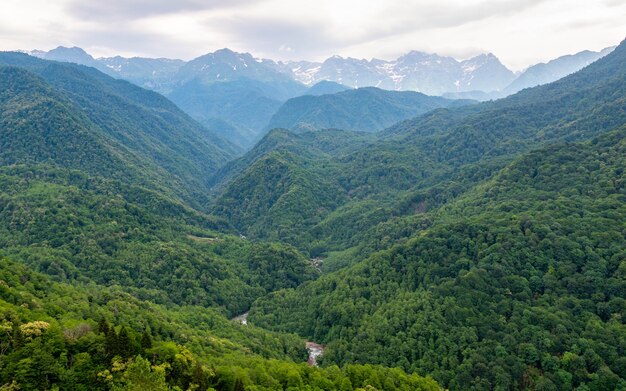 Paisaje salvaje de montañas georgianas. Amante de los árboles verdes y nieve en las colinas superiores en un lejano