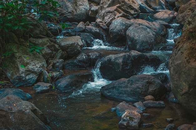 El paisaje salvaje de un río con rocas El río fluye a través de la caída de la cascada