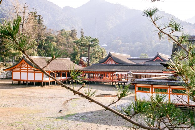 Paisaje del santuario de Itsukushima