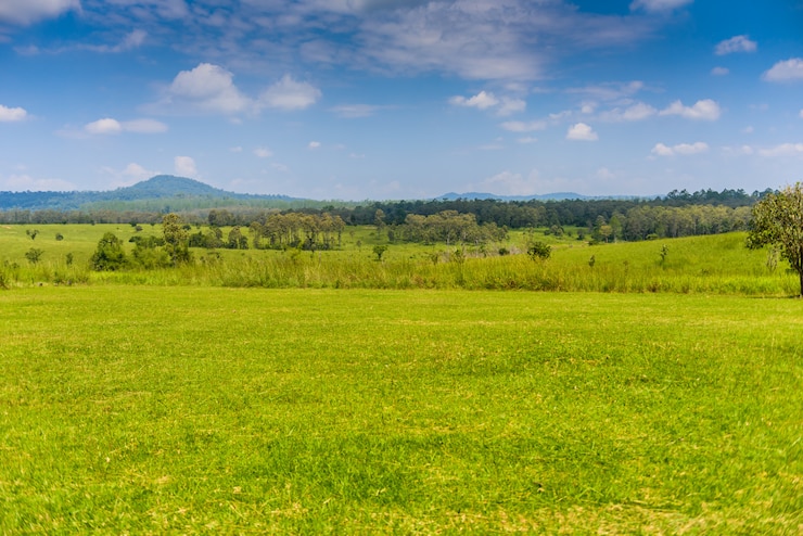 Foto paisaje de savanna forest y montaña con un cielo azul y nubes blancas en la primavera