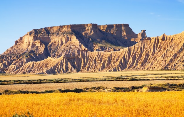 paisaje semidesértico