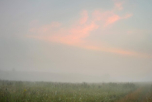 Paisaje sereno con un lago en la niebla