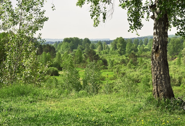 Paisaje de Siberia occidental en primavera