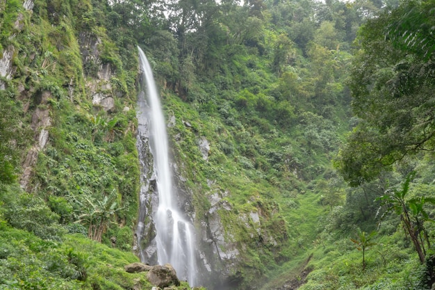 Paisaje de una sola caída de agua en el bosque tropical