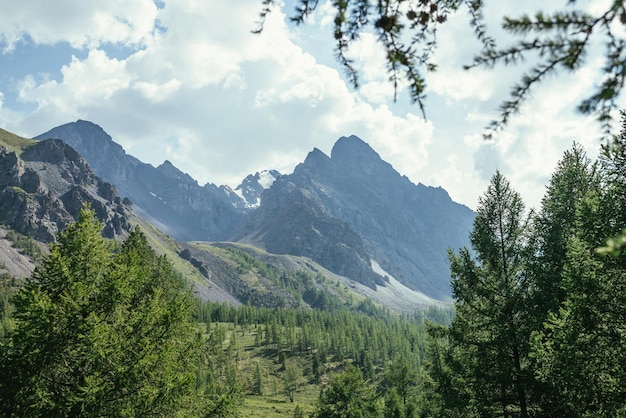 Paisaje soleado con una gran cima de montaña afilada sobre el bosque en el marco de ramas y coníferas. Pintoresco paisaje montañoso con pináculo de alta montaña y montañas nevadas sobre bosques de coníferas.