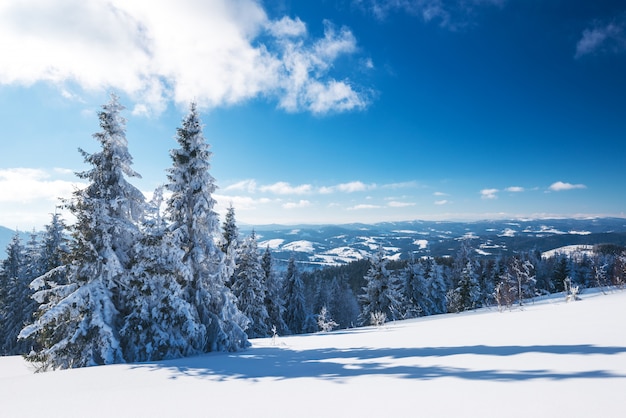 Paisaje soleado de invierno de ventisqueros