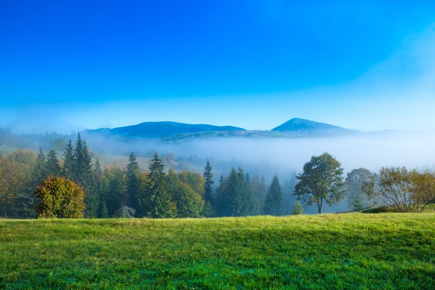 Paisaje soleado de montaña de los Cárpatos