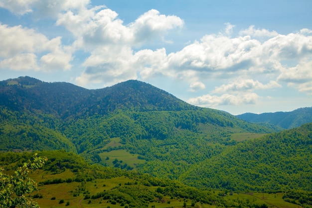 Paisaje soleado de las montañas de la belleza con la foto horizontal del árbol verde