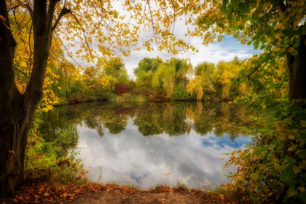 Paisaje soleado de otoño con lago y hojas amarillas