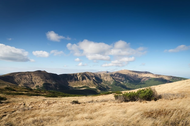 Paisaje soleado de otoño en las montañas. Hierba seca en la ladera. Cielo azul con nubes cúmulos. Cárpatos, Ucrania, Europa