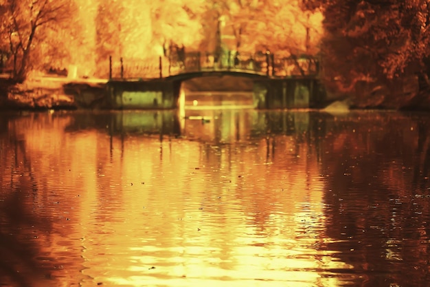 Paisaje soleado en el parque de otoño, parque naranja de fondo de temporada de otoño