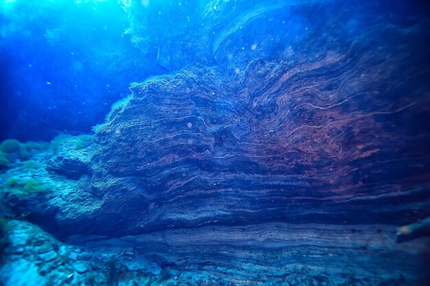 paisaje submarino de arrecifes de coral, laguna en el mar cálido, vista bajo el ecosistema del agua