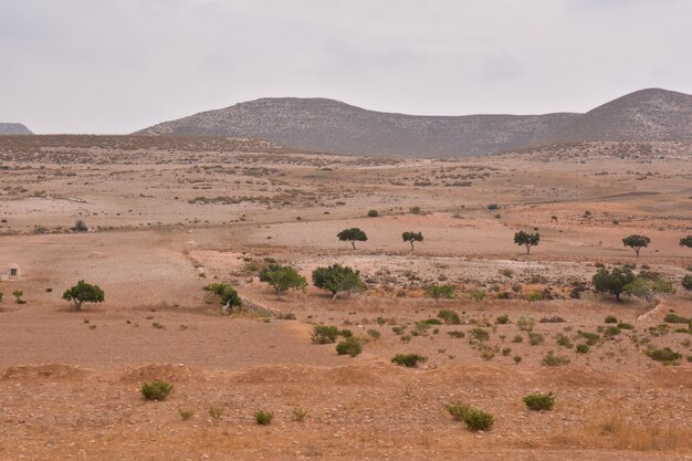 Paisaje en el sur de España